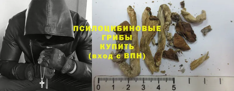 Галлюциногенные грибы GOLDEN TEACHER  Карачаевск 